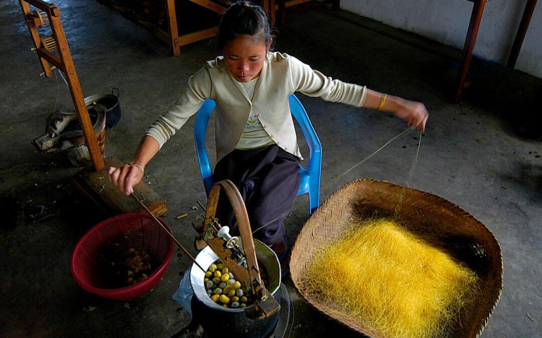 #10 Laos Cultural Heritage of Sericulture and Silk Crafts Adapting to Climate Change