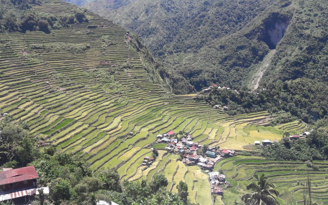 Cha-Time with SEACHA#22: Traditional House Restoration and Green Tourism in the Rice Terraces of the Philippine Cordilleras: